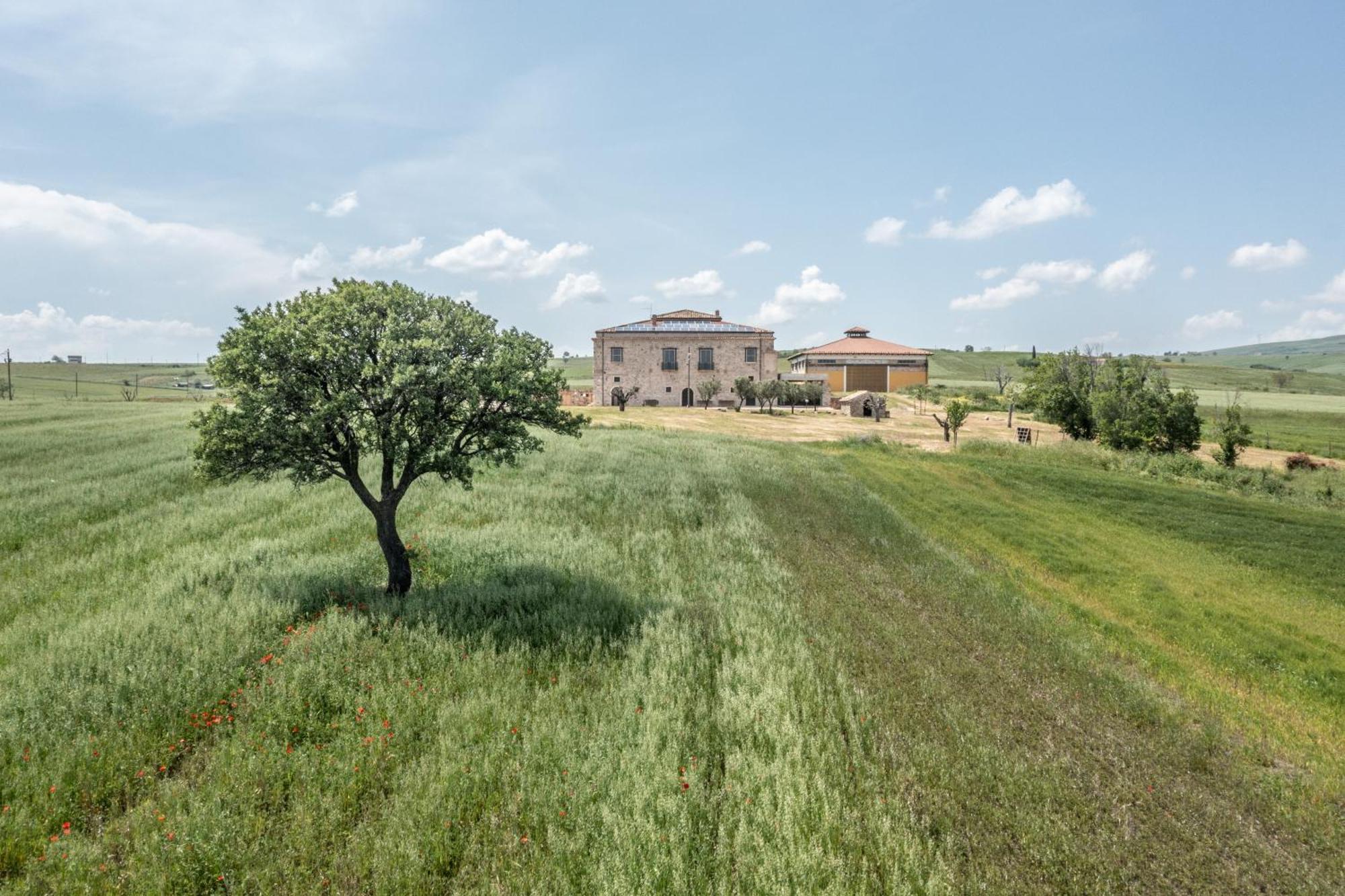 Dimora Schioppo - Irpinia Leilighet Calitri Eksteriør bilde